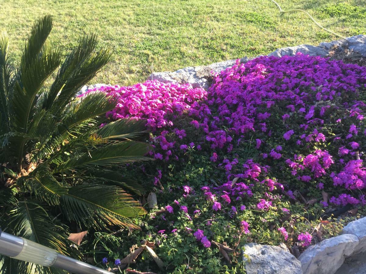 Mas Des Kardouons Bed and Breakfast Tourrettes-sur-Loup Εξωτερικό φωτογραφία